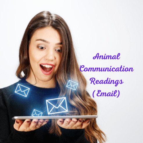 Animal Communication Reading - Email