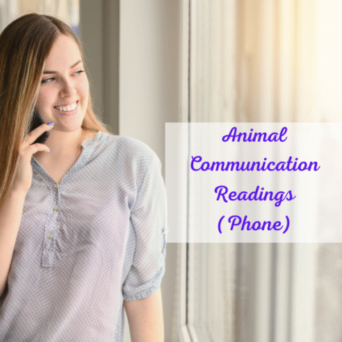 Animal Communication Reading - Interactive - Image 2