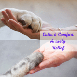 Calm and Comfort: Anxiety Relief