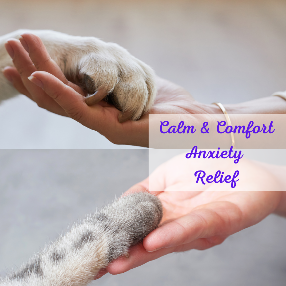Calm and Comfort: Anxiety Relief