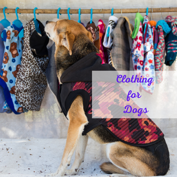 Clothing - Vests & Jackets