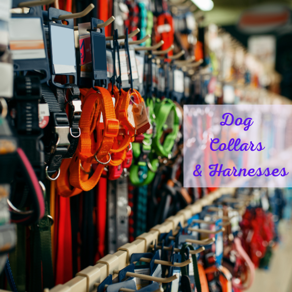 Collars & Harnesses
