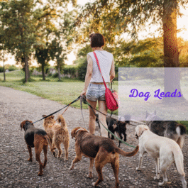 Leads