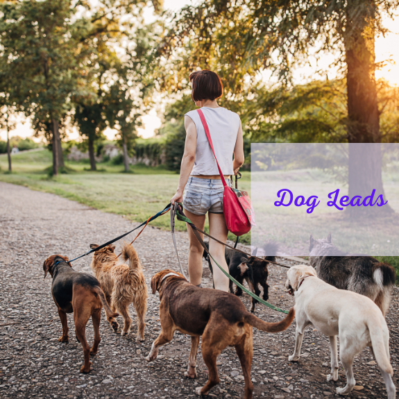 Leads
