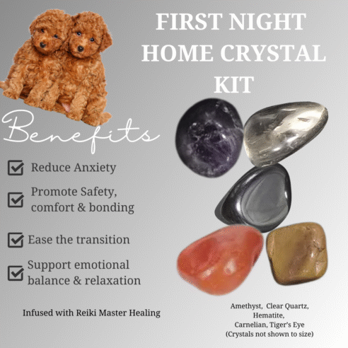 First Night Home Comfort Crystal Kit for Puppies & Kittens