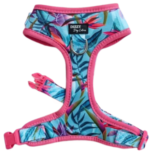 Dog  Harness (Neoprene) - Image 14
