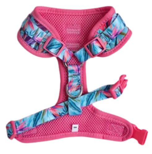 Dog  Harness (Neoprene) - Image 15