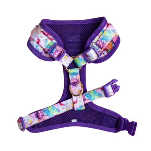 Dog  Harness (Neoprene) - Image 17