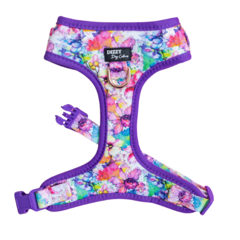 Dog  Harness (Neoprene) - Image 16