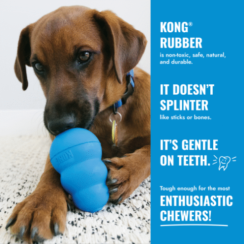 Kongs - Puppy - Image 3