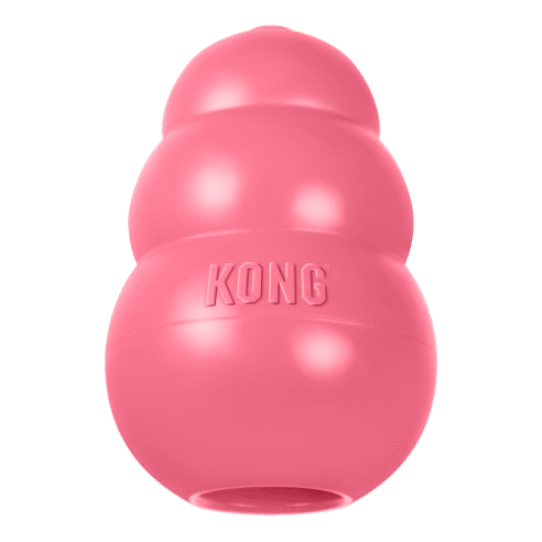 Kongs - Puppy