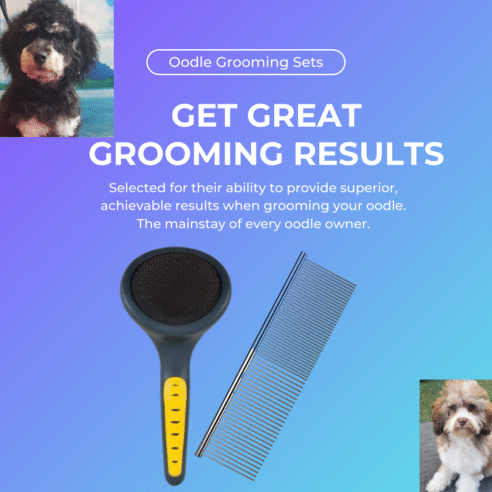 Grooming Pack for Oodles - Essential Bundle