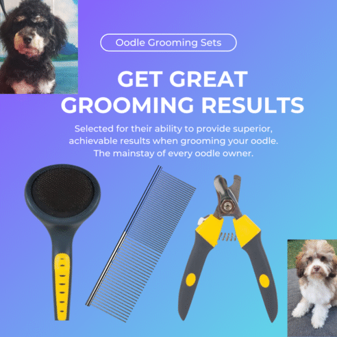 Learn to Groom - Online Course - Image 2
