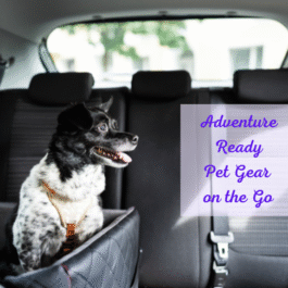 Adventure Ready : Pet Gear for Life on the Go