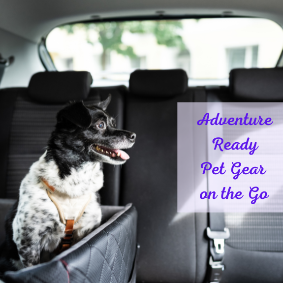 Adventure Ready : Pet Gear for Life on the Go