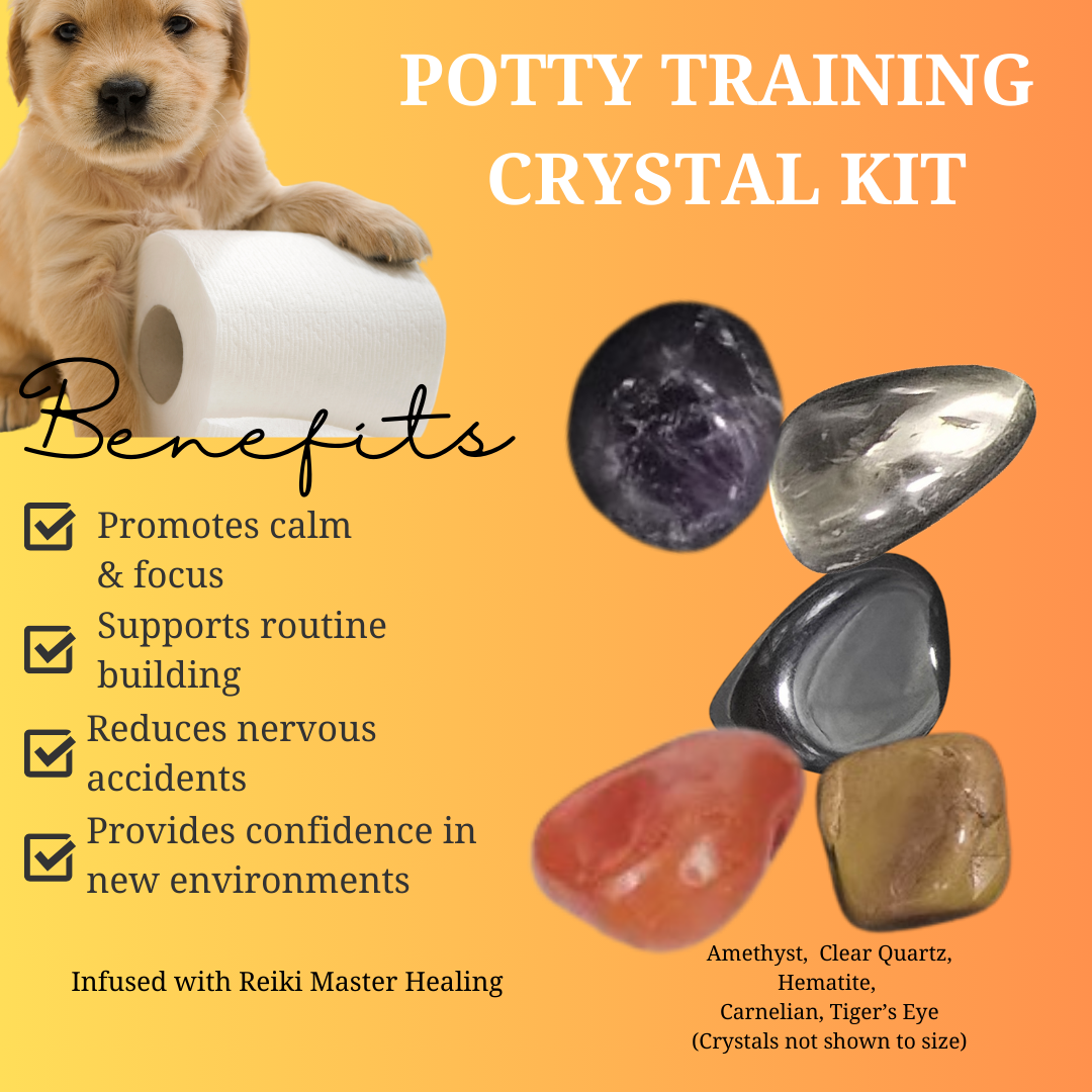 Crystals for Puppies Struggling with Toilet Training