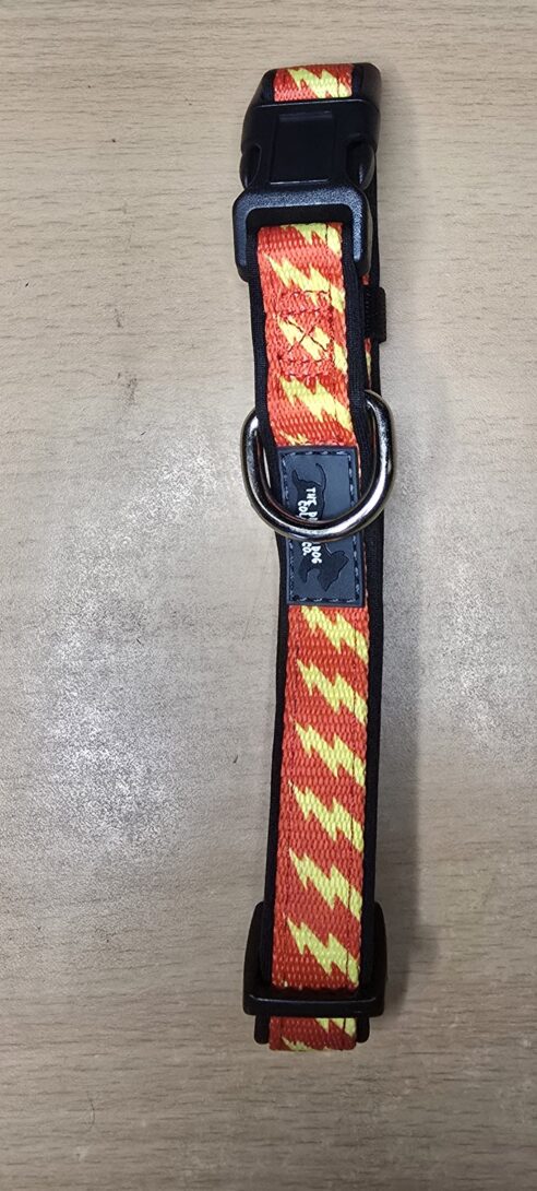 Dog Collar (Neoprene) - Image 18