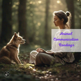 Animal Communication Readings