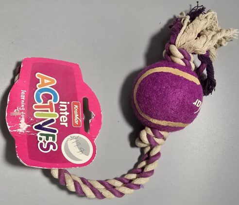 Tug Toy (Pro-Grade) for Large Dogs - Image 4
