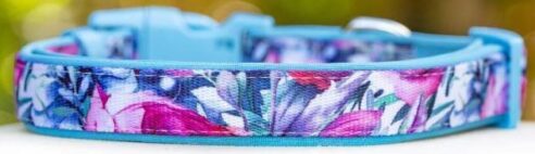 Dog Collar (Neoprene) - Image 3