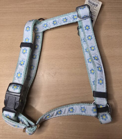 Harness H Type - Blue Daisy