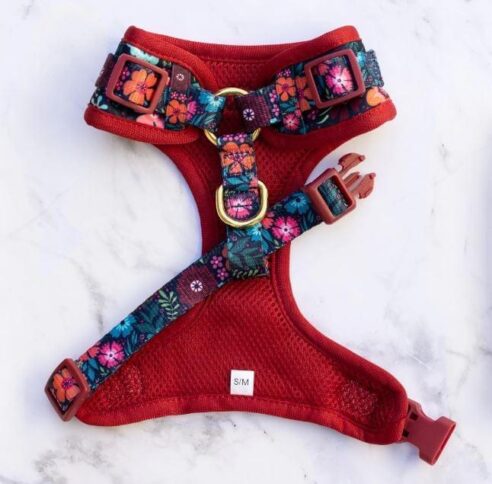 Dog  Harness (Neoprene) - Image 2