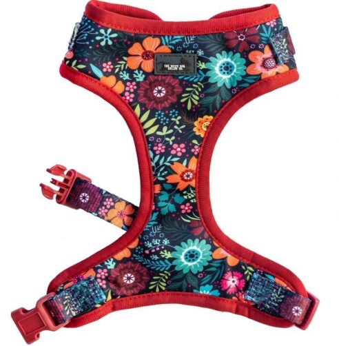 Dog  Harness (Neoprene) - Image 13