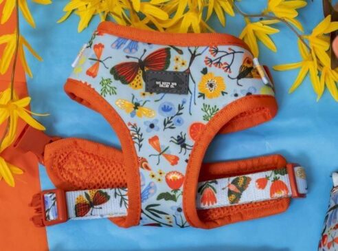 Dog  Harness (Neoprene) - Image 3