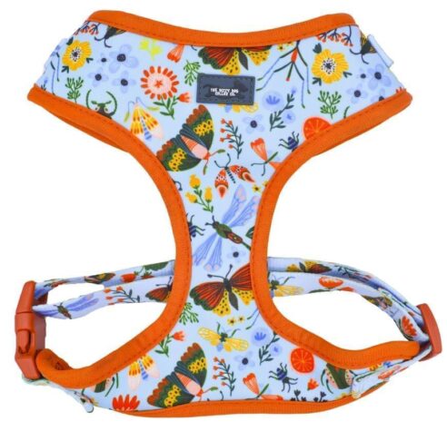 Dog  Harness (Neoprene) - Image 12