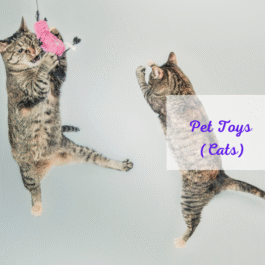 Cat Toys