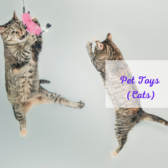 Cat Toys