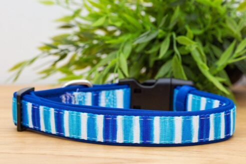 Dog Collar (Neoprene) - Image 5
