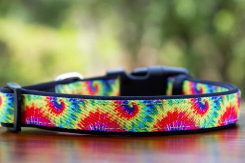 Dog Collar (Neoprene) - Image 6