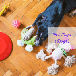 Dog Toys