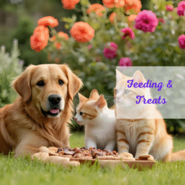 Slow Feeding: Healthy Eating for Dogs & Cats