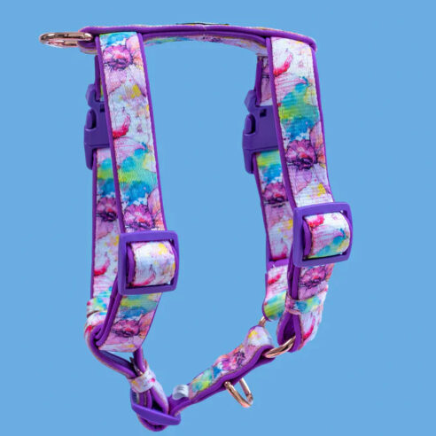 Harness - H Harness Style DD