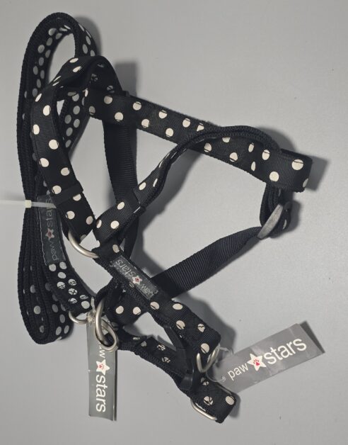 Harness & Lead Set