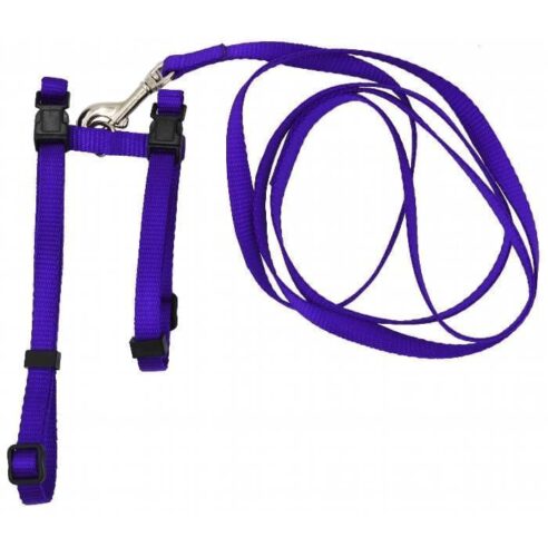 Collar and Harness Puppy or Cat - Image 2