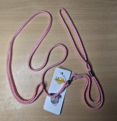 Collar & Lead - Puppy (Show) - Image 3