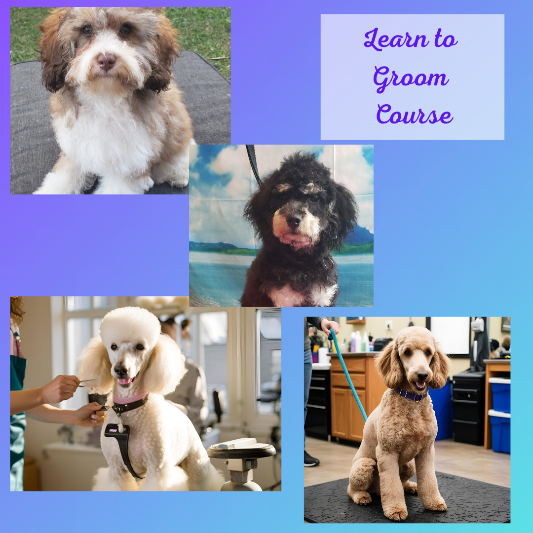 Learn to Groom