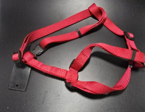 Harness Budget