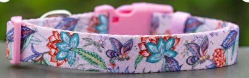 Dog Collar (Neoprene) - Image 2