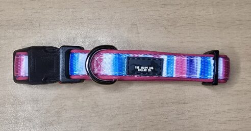Dog Collar (Neoprene) - Image 14
