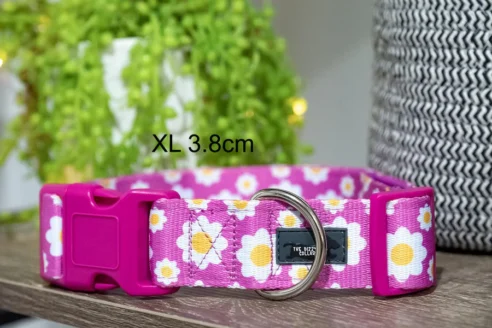 Dog Collar (Neoprene) - Image 22