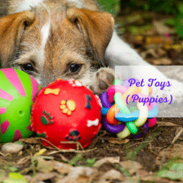 Puppy Toys