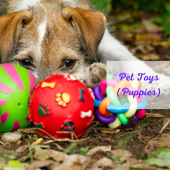 Puppy Toys