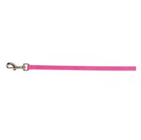 Leads -  Puppy - Image 4