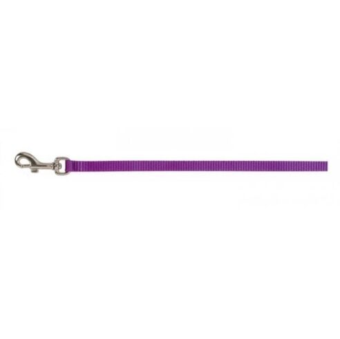 Leads -  Puppy - Image 5
