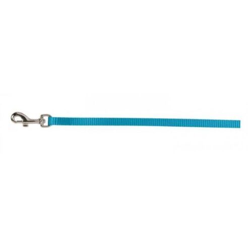 Leads -  Puppy - Image 3