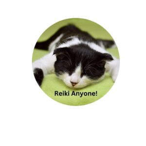 Read more about the article What is Animal Reiki?